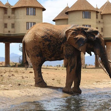Salt Lick Safari Lodge Tsavo Exterior photo
