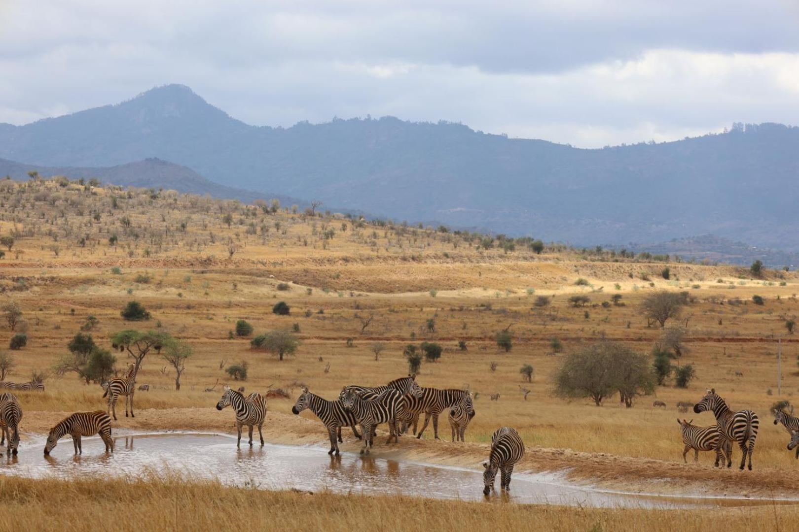 Salt Lick Safari Lodge Tsavo Exterior photo
