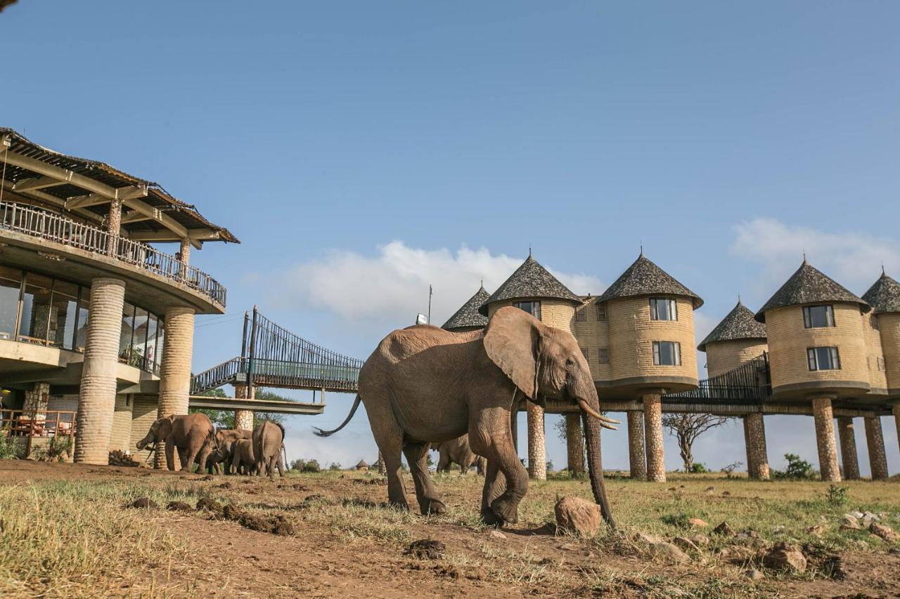 Salt Lick Safari Lodge Tsavo Exterior photo