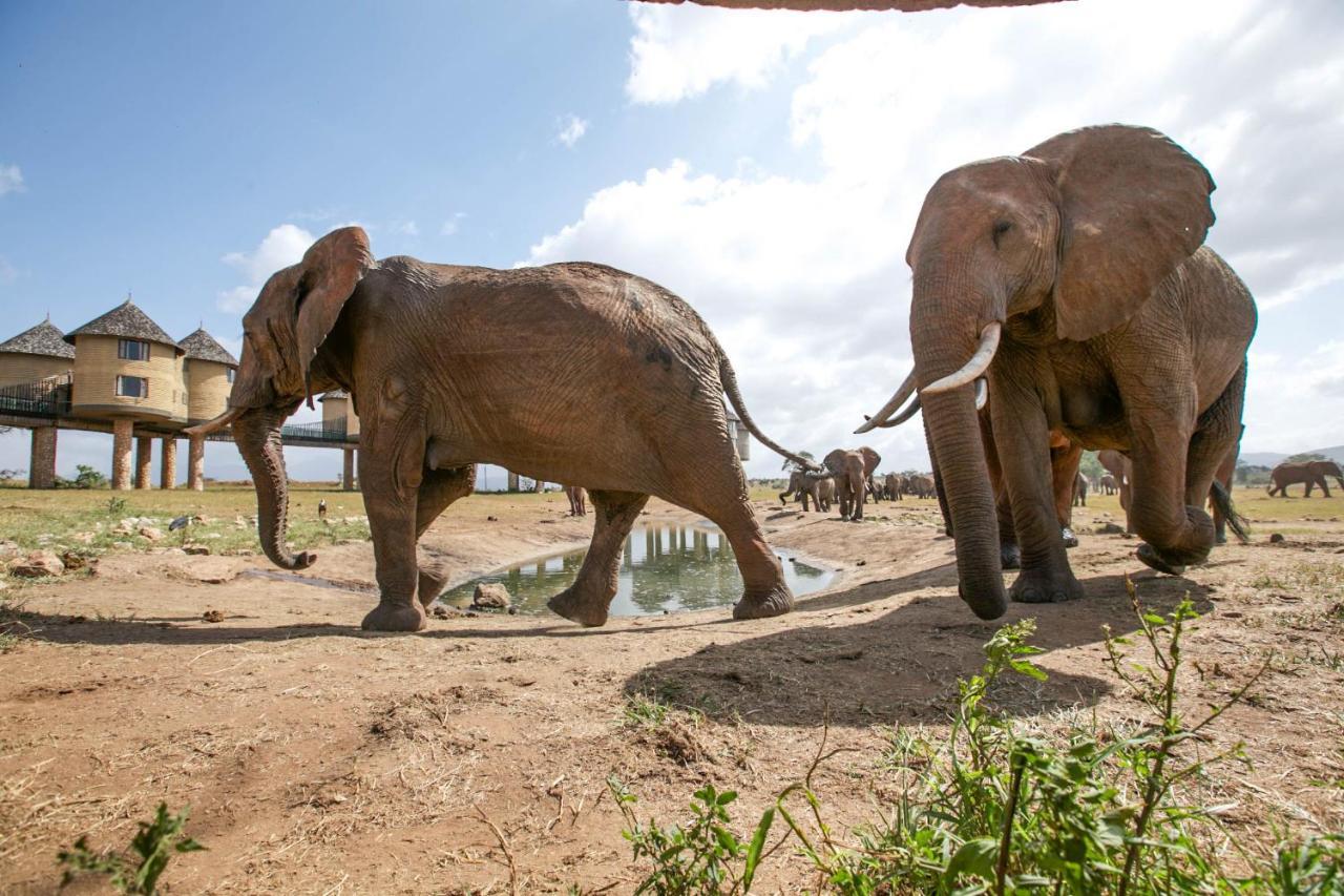 Salt Lick Safari Lodge Tsavo Exterior photo