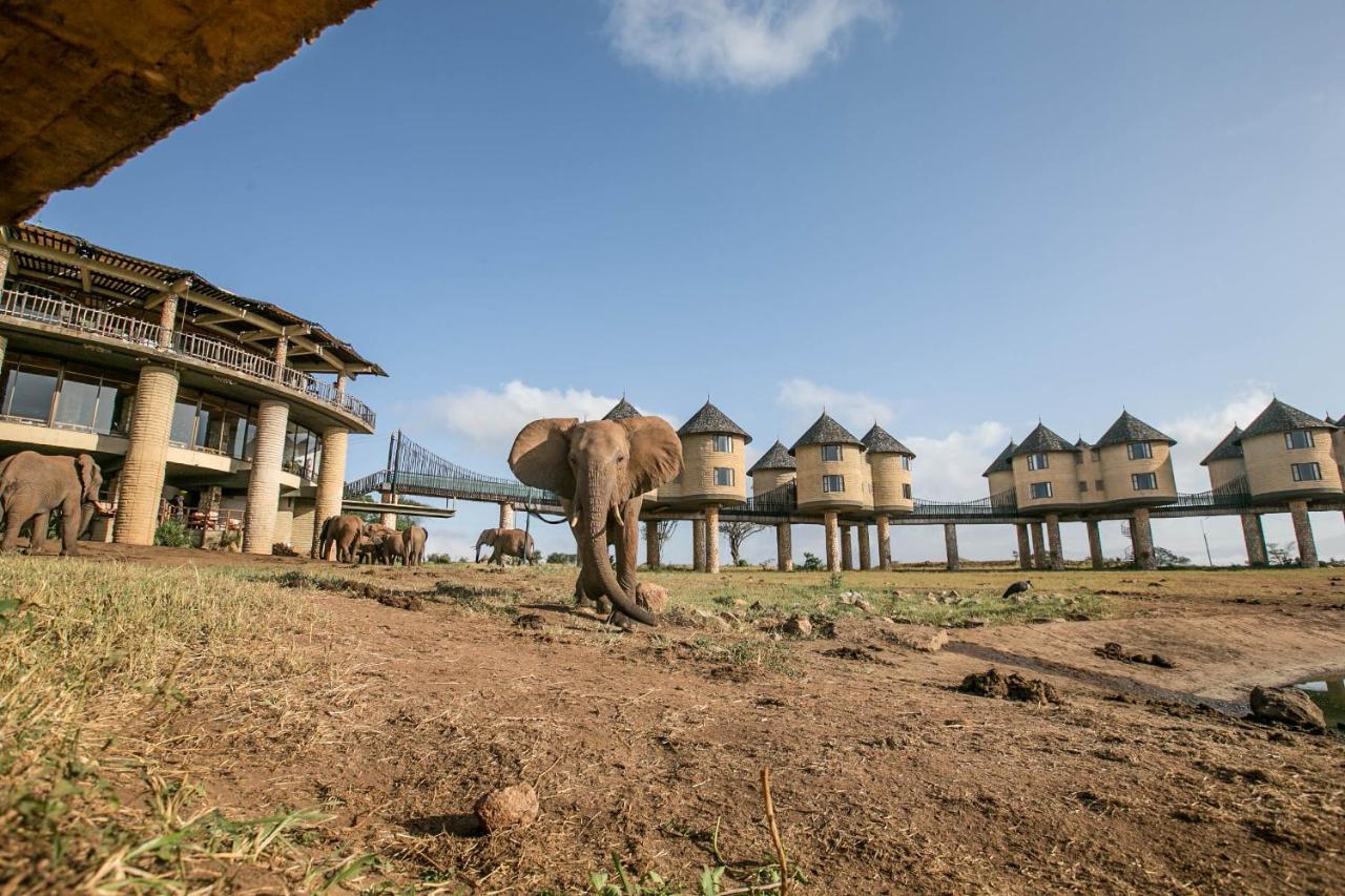Salt Lick Safari Lodge Tsavo Exterior photo