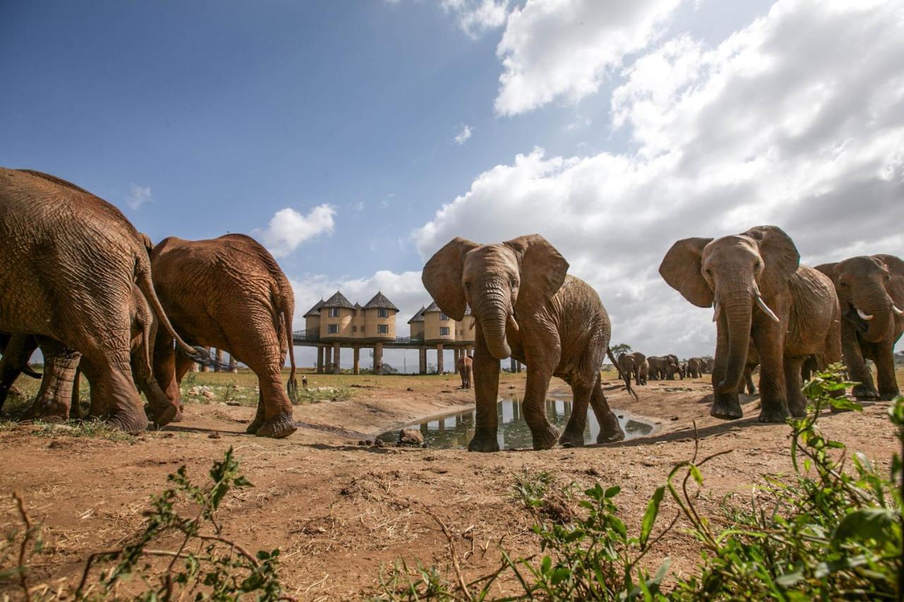 Salt Lick Safari Lodge Tsavo Exterior photo